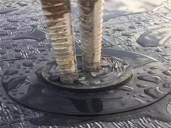 𽺷ˮ׻